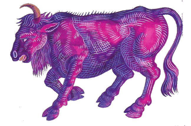 Ox 