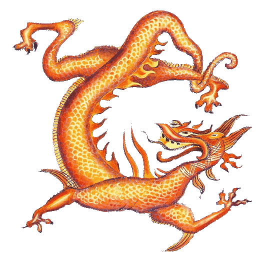 Drache