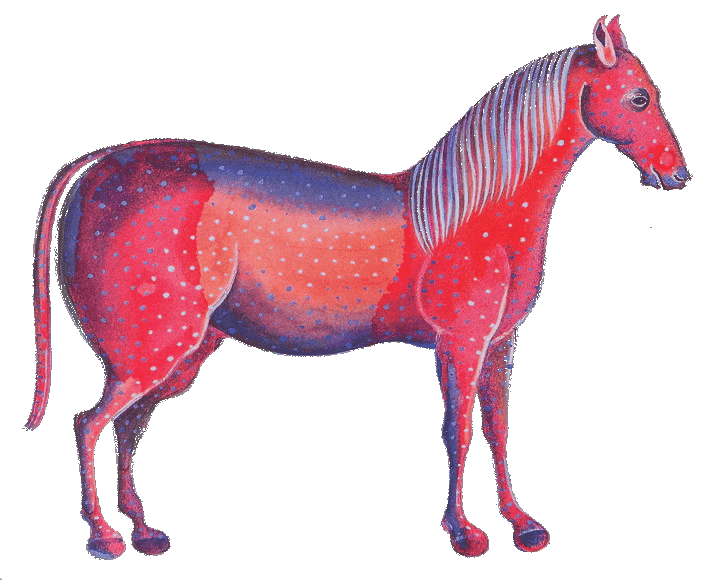 Pferd
