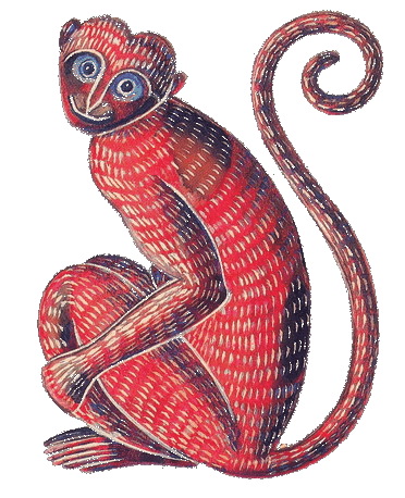Affe