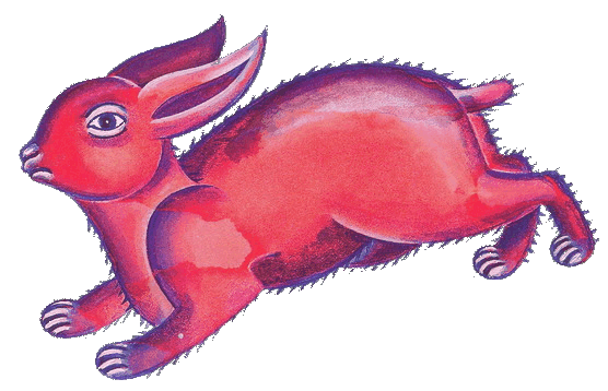 Hase