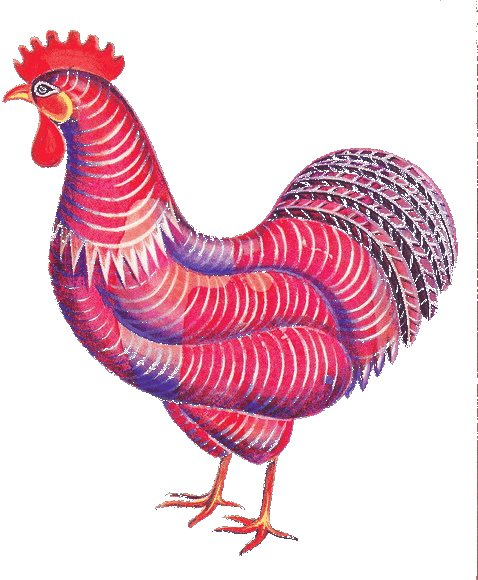 Rooster