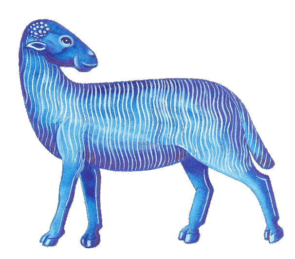 Sheep